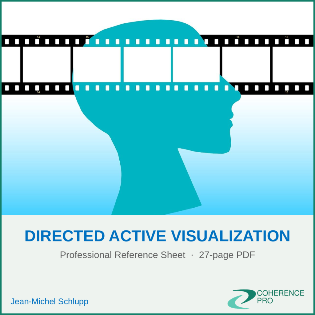 Directed Active Visualization – Professional Reference Sheet